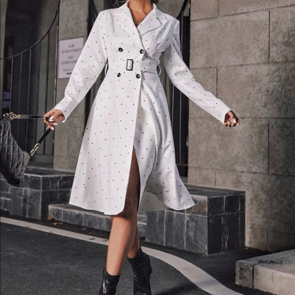 Double Breasted Belted Dot Printed Dress